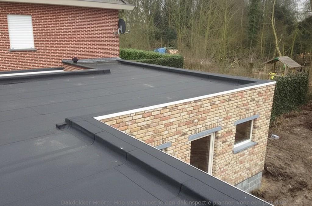Dakinspectie Plat Dak Hoorn