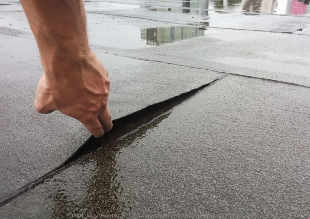 Kosten Repareren Daklekkage Hoorn