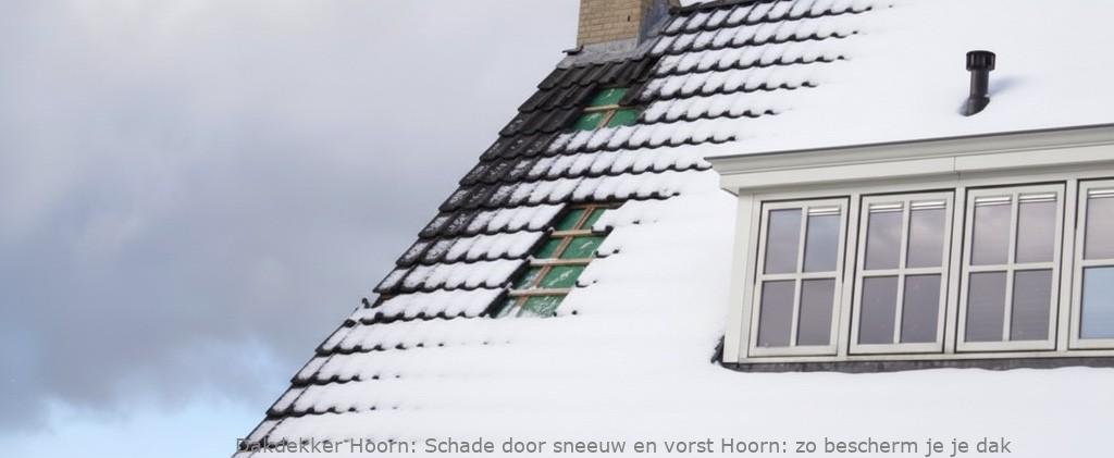Schade Door Sneeuw En Vorst Hoorn