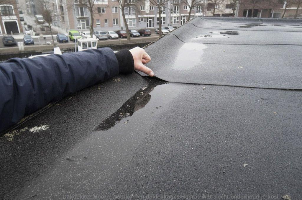 Voorkomen Daklekkages Hoorn